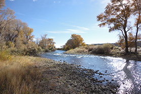 Conejos River, Colorado