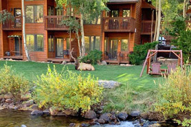 Elk resting in grass behind vacation suites next to Fall River at Aspen Winds on Fall River Vacation Suites in Estes Park, Colorado.