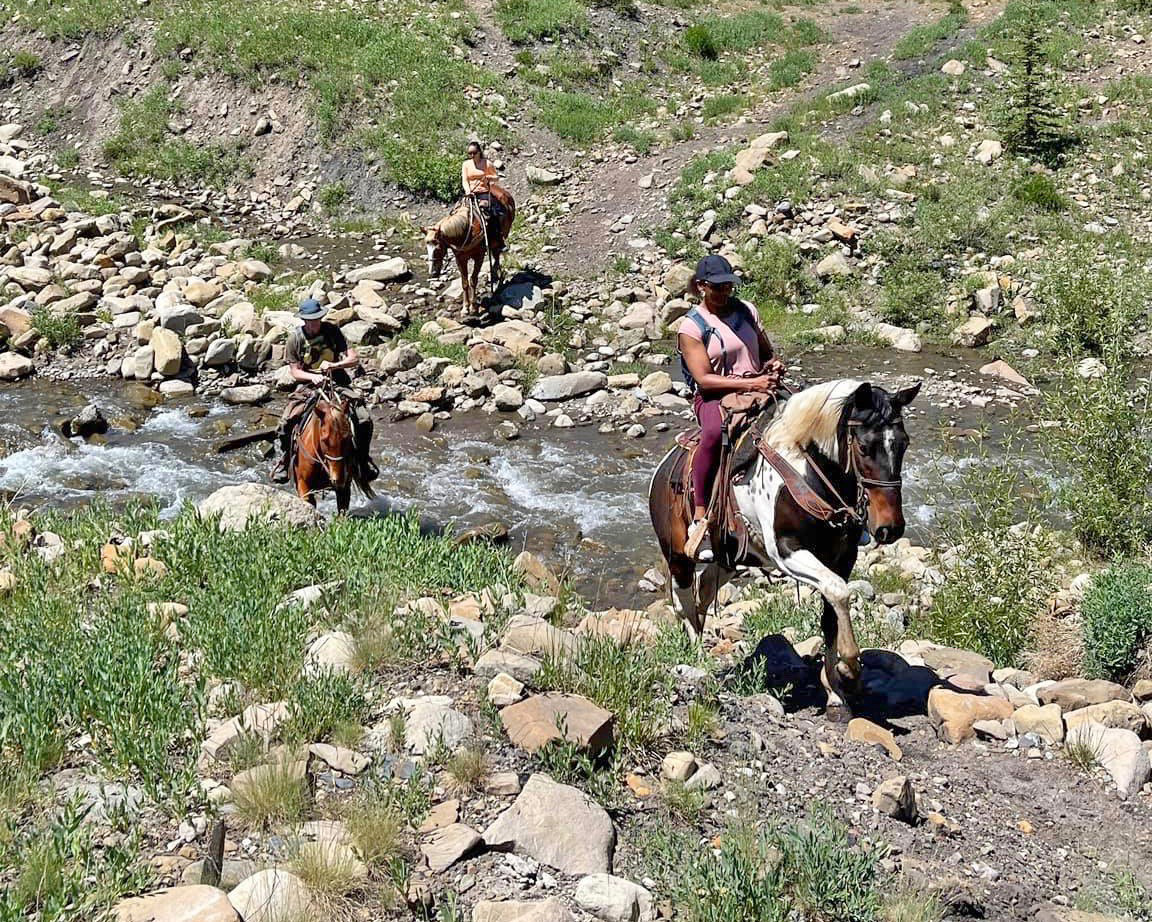 Avalanche Equestrian