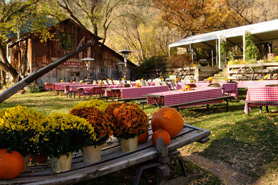 Avalanche Ranch Cabins event area with picnic tables and barn in Crystal River Valley near Glenwood Springs, Aspen, and Snowmass Village, Colorado. An ideal wedding and reunion destination.