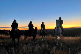 Horseback riders on trail ride during sunset near Bear Mountain Stables in Conifer, Colorado.