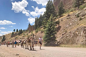 Donkey dash competition along mountain trail in Creede, Colorado