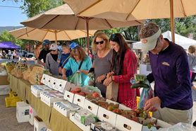 Shopping for fresh fruits and vegetables at the farmers market in Carbondale, Colorado