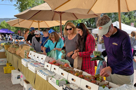 Shopping for fresh fruits and vegetables at the farmers market in Carbondale, Colorado.