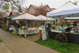 People shopping the local merchandise at the La Veta Farmers Market in Colorado.