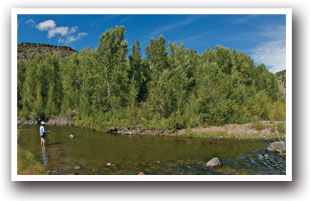 Fishing the Rio Grande Near Del Norte, Colorado