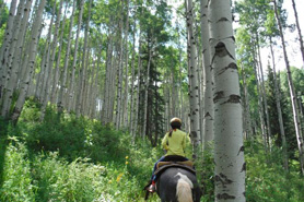 Horseback riding on trail near McPhee Reservoir, Colorado