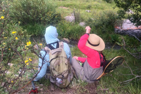 Two people fishing along a creek near Lake City, Colorado