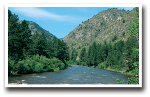 The cache la poudre river near ft. collins, colorado