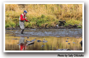 Man fly fishing near Hot Sulphur Springs in Colorado, Photo by Sally DiSciullo, Hot Sulphur Springs Chamber of Commerce