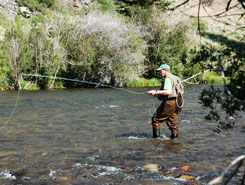 Fishing, Taylor River, Gunnison, Colorado