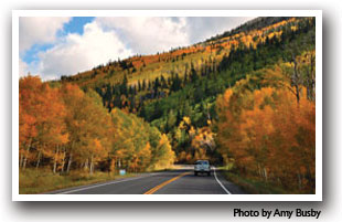 Highway during fall near Grand Mesa Colorado, Photo by Amy Busby