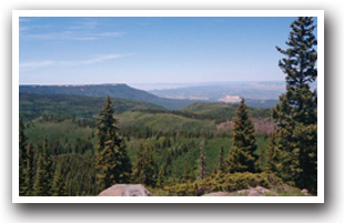 View of Grand Mesa Area in South West Colorado