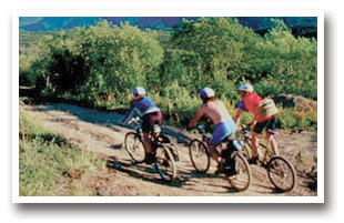 Mountain bikers on the Green Mountain Road Trail near Fairview, Colorado