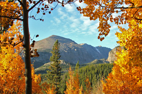 Mountain view of aspens changing to fall colors in Rocky Mountain National Park near Lazy R Cottages in Estes Park, Colorado