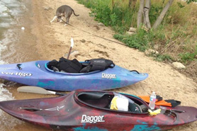 Two kayaks on the beach with a dog at Union Reservoir in Longmont, Colorado
