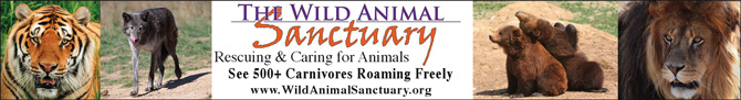 The Wild Animal Sanctuary