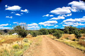 Dirt road inside San Isabel National Forest, Colorado