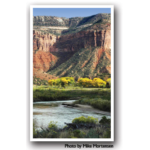 Sandstone Walls and fall colors along the Dolores River, Photo by Mike Mortensen