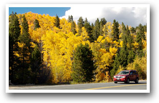 Aspen trees surround the the Peak to Peak Scenic Byway in Colorado.