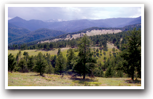 View on the Peak to Peak Scenic Byway, Colorado.
