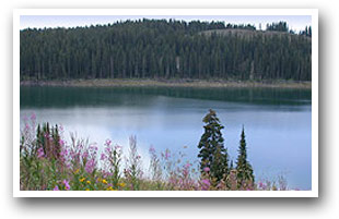 One of many lakes on Grand Mesa, Colorado