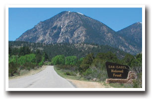 Road leading to San Isabel National Forest in Colorado