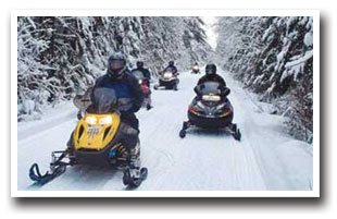 A group of snowmobiles traveling along a snowy trail lined by pine trees near Montrose, Colorado