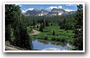 Pond with mountains in the background near Meeker, Colorado