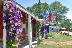  Cabin covered in flowers at Mogote Meadow Cabins & RV Park near Antonito, Colorado