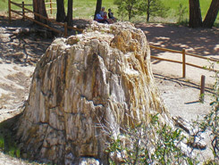 florissant fossil beds, Pikes Peak Area, CO, Colorado Vacation Directory