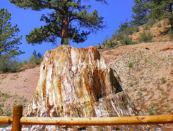 florissant fossil beds, CO, Colorado Vacation Directory