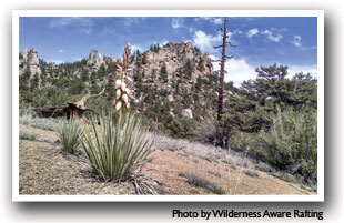 Rock formations in Browns Canyon Colorado, Photo by Wilderness Aware Rafting