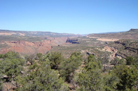 naturita-nucla, Colorado