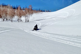 Snowmobiling in North Park Area near North Park Inn and Suites in Walden, Colorado.