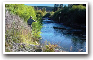 Man fly fishing the San Miguel River, Colorado