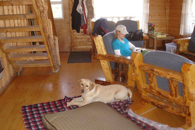 Indoor view of log cabin with vacationer reading in a large comfy chair and their dog laying on pet friendly blankets and matress at Oleo Ranch in Lake City, Colorado.