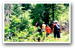 Group hiking in the Pikes Peak area, Colorado