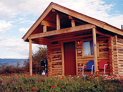 1 of 10 Individual Cabins On 8 Acres at Muddy Creek - The Colorado Vacation Directory