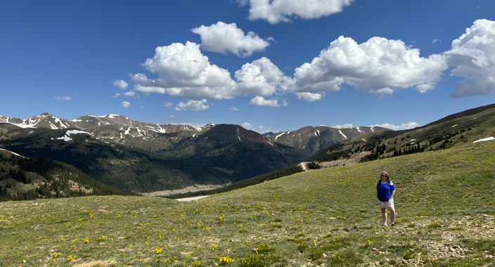 Person enjoying the view of the Rocky Mountains and wildflowers blooming during Summer at the summit of Loveland Pass, Colorado.