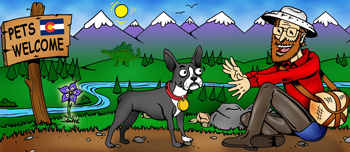 Colorado pet friendly and dogs ok rentals illustration