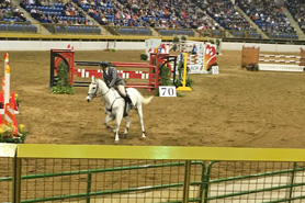 Horse rider racing at the National Western Stock Show in Denver, Colorado