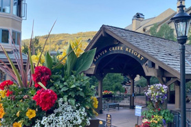 Beaver Creek and Vail Vacation Rentals in Colorado.