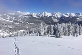 Freshly carved cross-country skiing trail in the mountains of San Isabel National Forest near Westcliffe and Salida, Colorado.