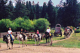 Horseback Riding at Winding River Resort near Grand Lake, Colorado. Family horse trail rides, sleigh rides, chuckwagon suppers. Spend a week vacationing.